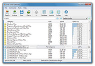 DiskSorter Pro screenshot